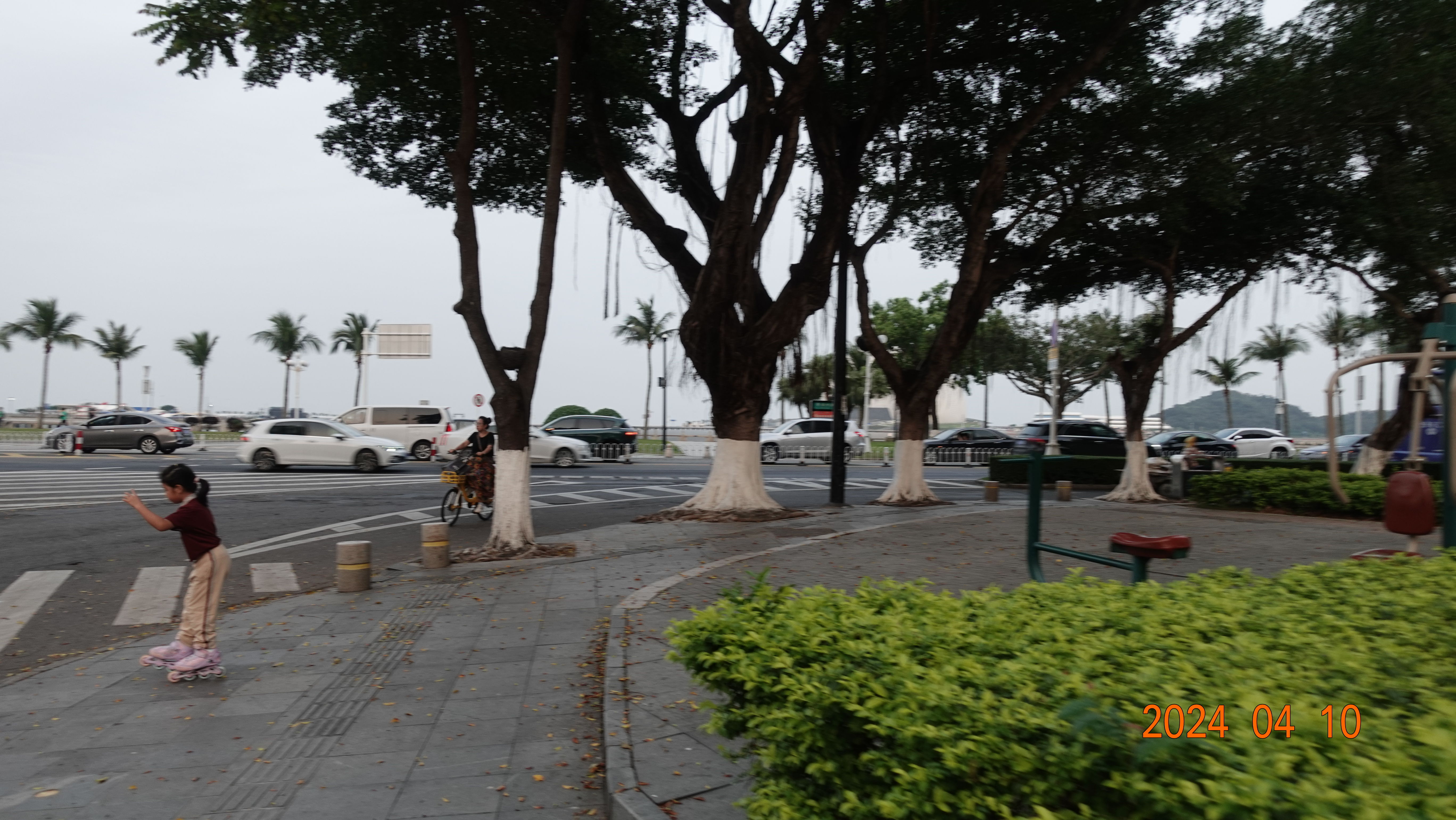 DSC01055.jpg